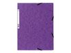 Exacompta Nature Future - Carpeta de 3 solapas - para A4 - capacidad: 250 hojas - púrpura oscuro moteado