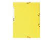 Exacompta Nature Future - Carpeta de 3 solapas - para A4 - capacidad: 250 hojas - limón moteado