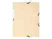 Exacompta Nature Future - Carpeta de 3 solapas - para A4 - capacidad: 250 hojas - marfil moteado