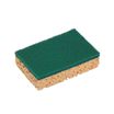10 Esponjas abrasivas verdes
