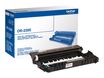 Brother DR2200 - Original - kit de tambor - para Brother DCP-7055, 7057, 7060, 7065, 7070, HL-2130, 2132, 2135, 2240, 2250, 2270, MFC-7360