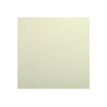 Clairefontaine Dessin à Grain ETIVAL COLOR - Papel de dibujo - 500 x 650 mm - 24 hojas - pale green