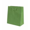 8429640345241-Pryse - Sac cadeau - 23 cm x 18 cm x 10 cm - vert-P_50993_1-0