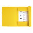 3130630555001-Exacompta Nature Future - Chemise à 3 rabats - A4 - pour 250 feuilles - disponible dans dif-P_1855500_4-3