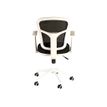 3760185025065-Fauteuil de bureau - PHOENIX - Accoudoirs fixes blancs - Blanc-Arrière-3