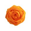 Clairefontaine Premium - Papel - Rollo (50 cm x 2,5 m) - oro - 40 g/m² - papel crepé