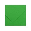 3148950402387-Canson Iris Vivaldi - Papier - 500 x 650 mm - vert vif - 185 g/m²-P_300043361_1-0