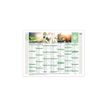 3371010458486-Quo Vadis Equology - Calendrier recyclé 7 mois par face - 18 x 13,5 cm-P_400009733_1-0