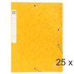 Exacompta Nature Future - Archivo de caja - ancho de la espina: 25 mm - para A4 - amarillo moteado