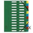 Exacompta Nature Future Harmonika - Carpeta clasificadora - 24 (12 x 2) piezas - con pestañas - verde moteado