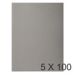 Exacompta Forever Foldyne 250 - Carpeta con corte cuadrado - para A4 - capacidad: 200 hojas - gris (paquete de 100)