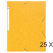 Exacompta Nature Future Scotten - Carpeta de 3 solapas - para A4 - amarillo moteado