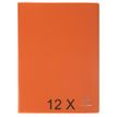 Exacompta OpaK - Libro de pantalla - 30 compartimentos - 60 vistas - para A4 - naranja