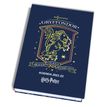 3661507515502-Agenda Harry Potter - 1 jour par page - 12 x 17 cm - 2 décors au choix : Poudlard ou Gryffondor - Kid'--1