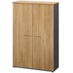 3483601225725-Armoire haute JAZZ+ - L120 x H183 x P48 - 2 portes - 4 étagères - chêne du bocage--0