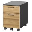Gautier office JAZZ+ - Pedestal - móvil - 2 cajones - madera aglomerada - antracita gris, bocage oak