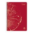 3210330684024-Clairefontaine Forever - Cahier à spirale A4 (21x29,7 cm) - 120 pages - petits carreaux (-P_405114367_7-4