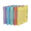 3130630591702-Exacompta Chromaline Pastel - Boîte de classement plastique - dos 25 mm - disponible dans-P_405117666_4-3