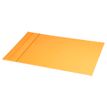 RHODIA Rhodiarama Home Office - Almohadilla de sobremesa - 60 x 40 cm - cardboard, piel sintética - naranja