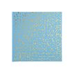 Exacompta Plum' - Álbum - 60 x 10x15 cm (4x6 pulgadas) - golden polka dots - turquesa x 1