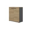 Gautier office CONNEXION - Storage unit/cupboard - mid-height - 2 baldas - 2 Puertas - carbón, country oak