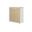 Gautier office CONNEXION - Storage unit/cupboard - mid-height - 2 baldas - 2 Puertas - blanco, structured oak