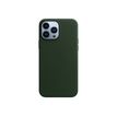 0194252780237-Apple - coque de protection en cuir avec MagSafe pour iPhone 13 Pro Max - vert-P_405140364_1-0