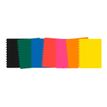 8717399384346-Danneels - Cahier de notes - A4 (21x29,7 cm) - 144 pages - petits carreaux - disponible da-P_405153911_1-0