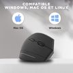 3303170113967-T'nB Ergo - Souris sans fil ergonomique pour droitier - noir-P_405155010_11-7