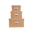 Exacompta Office by Me - Juego de cajas de almacenamiento - para A4 Plus, A5 Plus Plus, A6 Plus Plus - beige