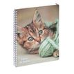 3660942084314-Cahier de textes à spirale Animaux - 17 x 22 cm - chaton - Exacompta-P_405161275_1-0
