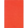 Agenda à spirale Dayton - 1 semaine sur 2 pages - 17 x 24,5 cm - orange - Oberthur