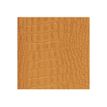 3660942088619-Exacompta Baby Croco Horizons 27 - Agenda - semainier - livre de poche - 185 x 225 mm - blanc - dis-P_405244375_6-4