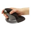 0043859735952-Fellowes Penguin Small - Souris verticale-P_614958_1-5