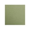 Clairefontaine MAYA A2+ - Papel de dibujo - 500 x 700 mm - leaf green