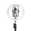 8427542106946-Ksix - Studio Live MAX - éclairage annulaire - 1 têtes x 120 lampe - LED - 10 W - CC--0