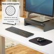 077511580246-Fellowes - Tapis de souris basique - Noir-P_79136400_3-2