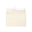 Pollen - Sobre - International C6 (114 x 162 mm) - cartera - abertura lateral - autoadhesivo - imprimible - crema iridiscente - paquete de 20