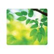 043859542819-Fellowes - Tapis de souris Earth Series  - Feuilles-P_79345596_1-0