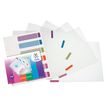 Viquel INTERCOLOR MAXI - Separador - 6 piezas - para A4 - con pestañas