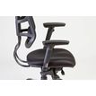 3760185022415-Fauteuil de bureau TECKNET - accoudoirs réglables - appuie-tête réglable - noir-P_79352459_5-4