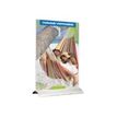PROMOCOME PLV - Soporte de señal - para A4 - doble cara - transparente
