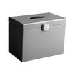 3219090400110-Pierre Henry - Classeur ménager en métal (valisette) avec 5 dossiers suspendus - alumini-P_79401075_1-0