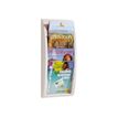 Paperflow MURAL QUICK FIT - Soporte de literatura - montaje en pared - 4 compartimentos - para A4 - gris, transparente