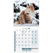 3592930027211-Calendrier illustré BOUCHUT 15 x 15 cm MON CHAT 70 %-P_79409613_10-1