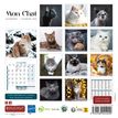 3592930027211-Calendrier illustré BOUCHUT 15 x 15 cm MON CHAT 70 %-P_79409613_11-2
