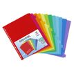 Viquel MAXI - Separador - 12 piezas - con pestañas - colores variados