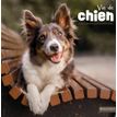 CBG Vie de Chien - Calendario - montaje en pared - 2020 - un mes vista - 300 x 600 mm - fecha