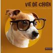 CBG Vie de Chien - Calendario - montaje en pared - 2020 - un mes vista - 150 x 300 mm - fecha