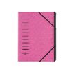 Pagna Office - Carpeta clasificadora - 12 compartimentos - 12 piezas - para A4 - con pestañas - rosa oscuro